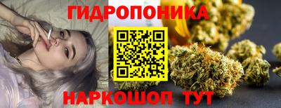 крисы Ипатово