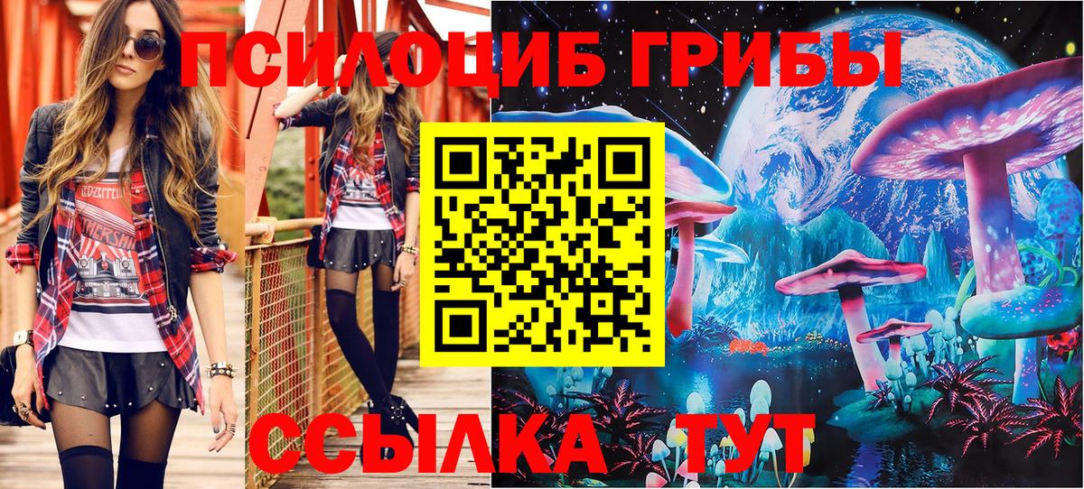 дарнет шоп  Галлюциногенные грибы мухоморы  Вход с VPN  Псилоцибиновые грибы прущие грибы  Кыштым 